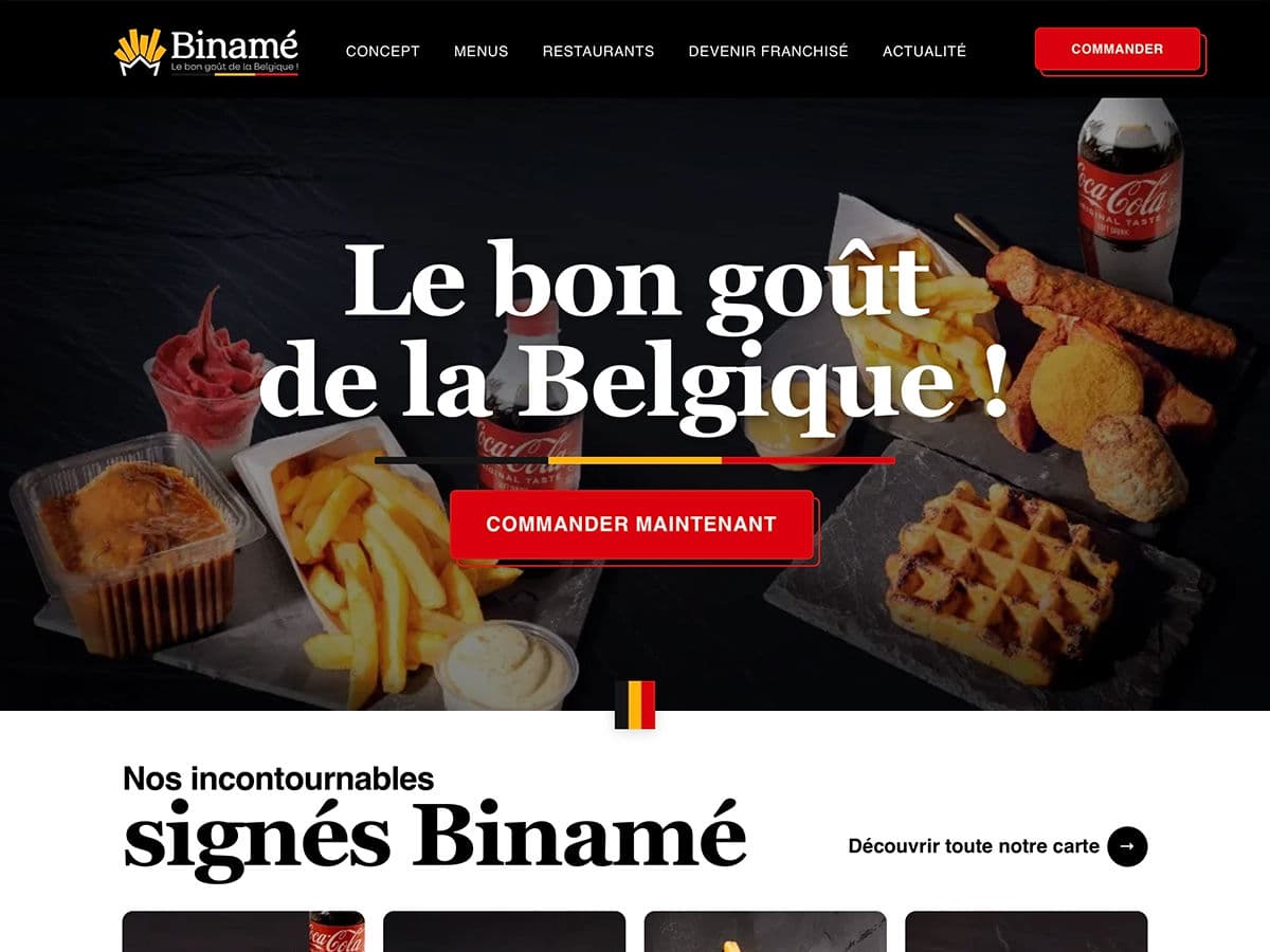 Aperçu du site Biname