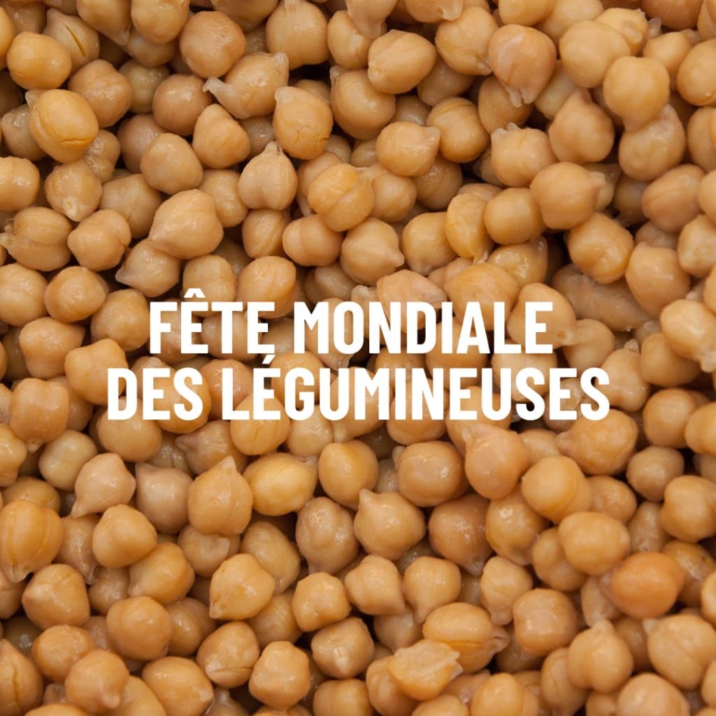 Visuel BLED shop fête mondiale des légumineuses