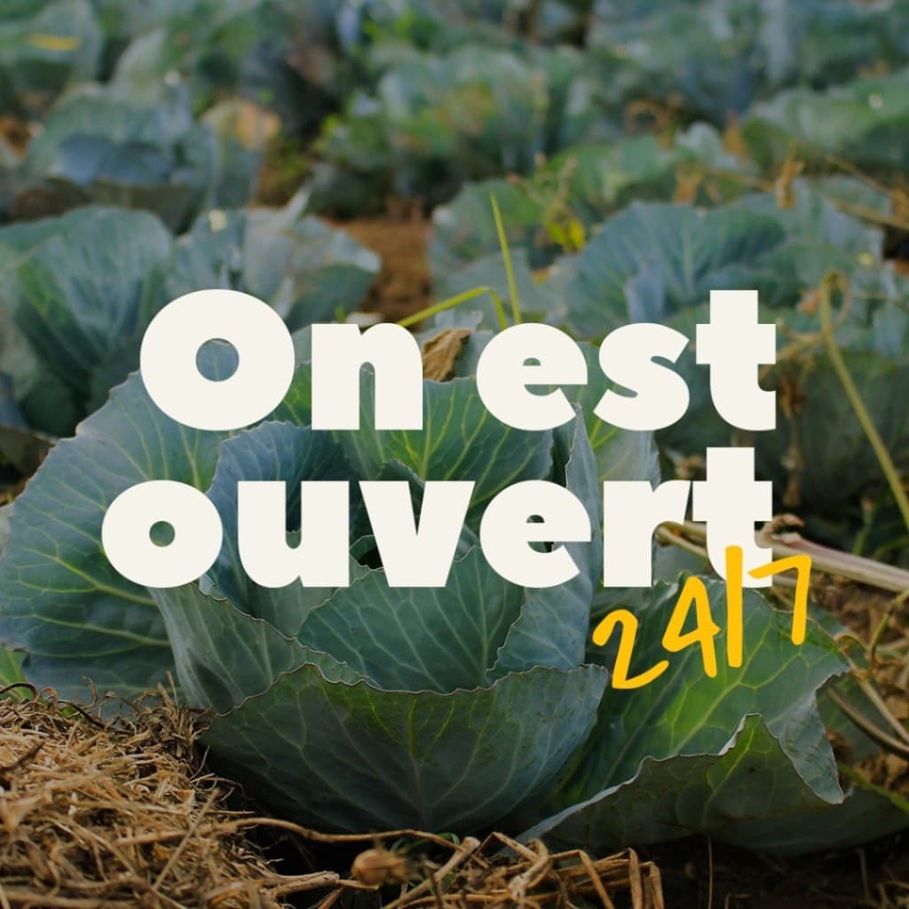 Visuel BLED shop ouvert 24/7